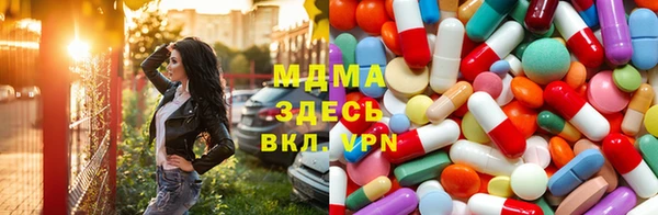 прущие грибы Ельня